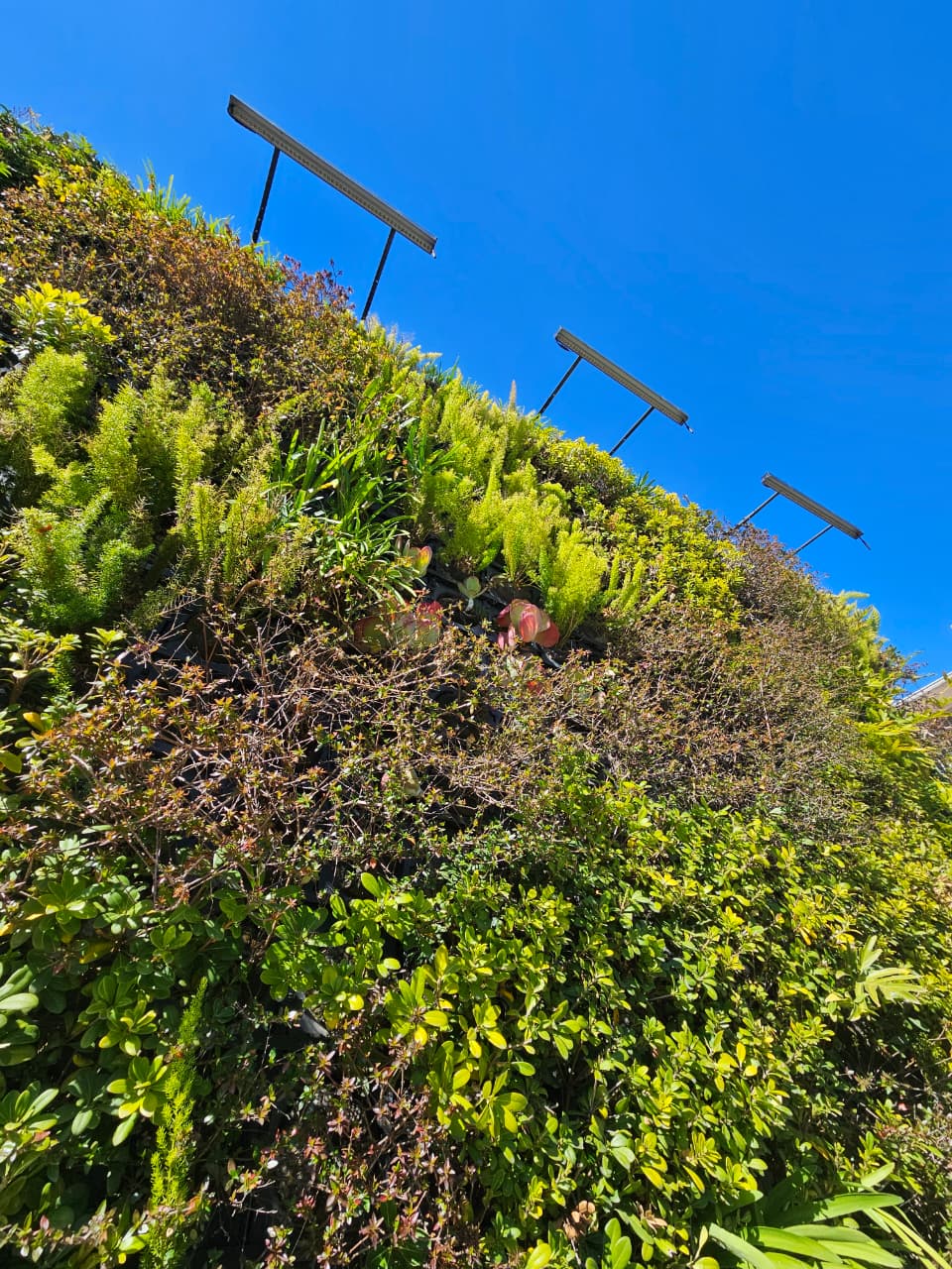 Projeto Wallgreen 9